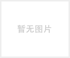 Celtron SQB 称重传感器